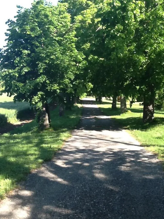 Suite Le Quervalat Dans Magnifique Bastide 18Eme Aix-en-Provence 0*,