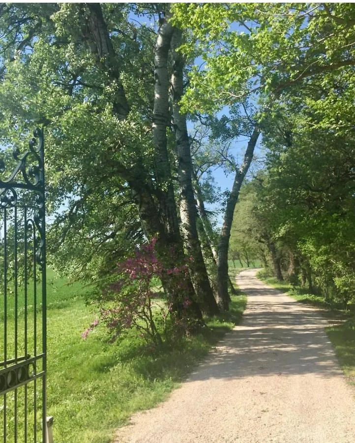 Suite Le Quervalat Dans Magnifique Bastide 18Eme Aix-en-Provence 0*,